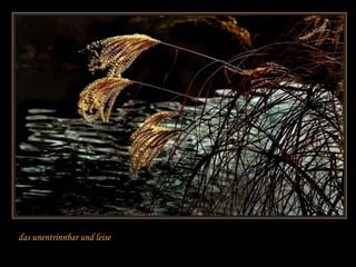 das unentrinnbar und leise
 