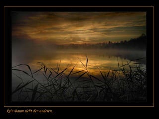 kein Baum sieht den anderen,
 