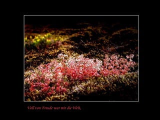 Voll von Freude war mir die Welt,
 