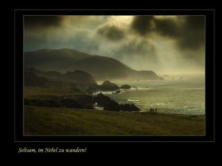 Seltsam, im Nebel zu wandern! 
 