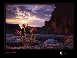 jeder ist allein. 
Mail 
