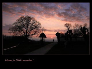 Seltsam, im Nebel zu wandern ! 
 