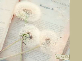 Natürlich kann man beim Computer-
spielen auch viel _______ _______ ,
aber es muss kontrolliert werden.
Spaβ haben
 