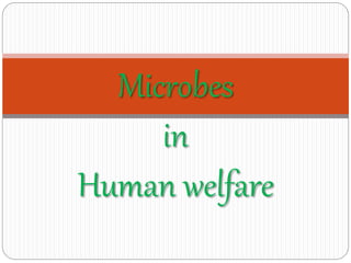 Microbes
in
Human welfare
 