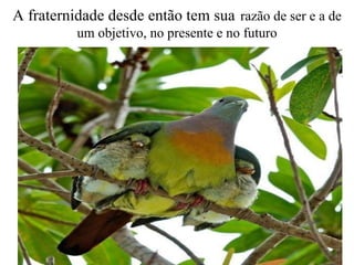 A fraternidade desde então tem sua   razão de ser e a de um objetivo, no presente e no futuro 