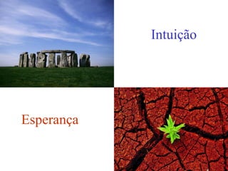 Intuição Esperança 