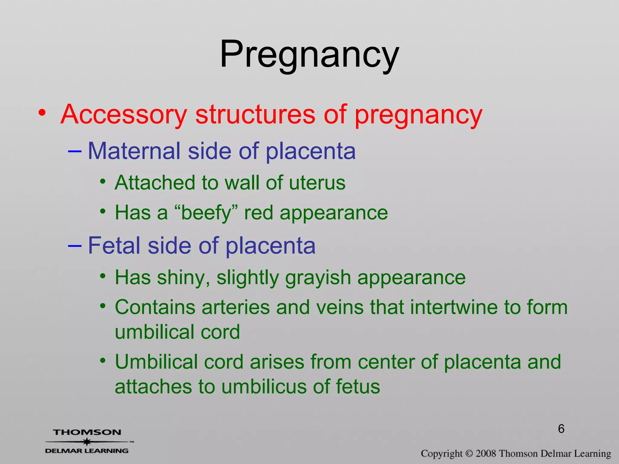 6
• Accessory structures of pregnancy
– Maternal side of placenta
• Attached to wall of uterus
• Has a “beefy” red appearance
– Fetal side of placenta
• Has shiny, slightly grayish appearance
• Contains arteries and veins that intertwine to form
umbilical cord
• Umbilical cord arises from center of placenta and
attaches to umbilicus of fetus
Pregnancy
 
