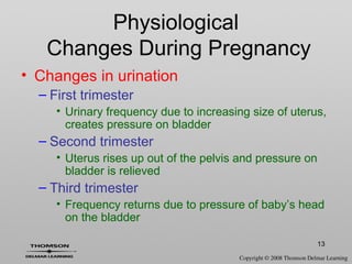 13
• Changes in urination
– First trimester
• Urinary frequency due to increasing size of uterus,
creates pressure on bladder
– Second trimester
• Uterus rises up out of the pelvis and pressure on
bladder is relieved
– Third trimester
• Frequency returns due to pressure of baby’s head
on the bladder
Physiological
Changes During Pregnancy
 