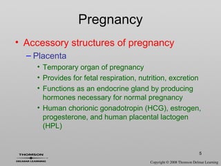 5
• Accessory structures of pregnancy
– Placenta
• Temporary organ of pregnancy
• Provides for fetal respiration, nutrition, excretion
• Functions as an endocrine gland by producing
hormones necessary for normal pregnancy
• Human chorionic gonadotropin (HCG), estrogen,
progesterone, and human placental lactogen
(HPL)
Pregnancy
 