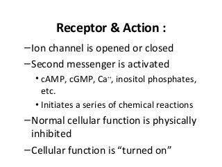 Receptor & Action :
–Ion channel is opened or closed
–Second messenger is activated
• cAMP, cGMP, Ca++
, inositol phosphates,
etc.
• Initiates a series of chemical reactions
–Normal cellular function is physically
inhibited
–Cellular function is “turned on”
 