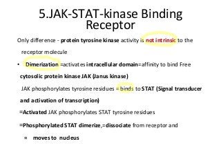 5.JAK-STAT-kinase Binding
Receptor
Only difference - protein tyrosine kinase activity is not intrinsic to the
receptor molecule
• Dimerization =activates intracellular domain=affinity to bind Free
cytosolic protein kinase JAK (Janus kinase)
JAK phosphorylates tyrosine residues = binds to STAT (Signal transducer
and activation of transcription)
=Activated JAK phosphorylates STAT tyrosine residues
=Phosphorylated STAT dimerize,=dissociate from receptor and
= moves to nucleus
 