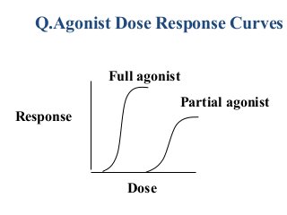 Response
Dose
Full agonist
Partial agonist
Q.Agonist Dose Response Curves
 