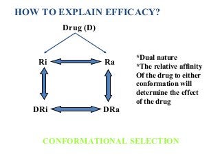 Drug (D)
Ri
DRi DRa
Ra
CONFORMATIONAL SELECTION
HOW TO EXPLAIN EFFICACY?
*Dual nature
*The relative affinity
Of the drug to either
conformation will
determine the effect
of the drug
 