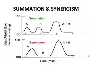 SUMMATION & SYNERGISM
 