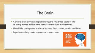 The Brain
• A child's brain develops rapidly during the first three years of life-
as many as one million new neural connections each second.
• The child's brain grows as she or he sees, feels, tastes, smells and hears.
• Experiences help make new neural connections
 