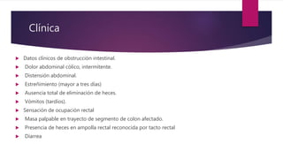 Clínica
 Datos clínicos de obstrucción intestinal.
 Dolor abdominal cólico, intermitente.
 Distensión abdominal.
 Estreñimiento (mayor a tres días)
 Ausencia total de eliminación de heces.
 Vómitos (tardíos).
 Sensación de ocupación rectal
 Masa palpable en trayecto de segmento de colon afectado.
 Presencia de heces en ampolla rectal reconocida por tacto rectal
 Diarrea
 