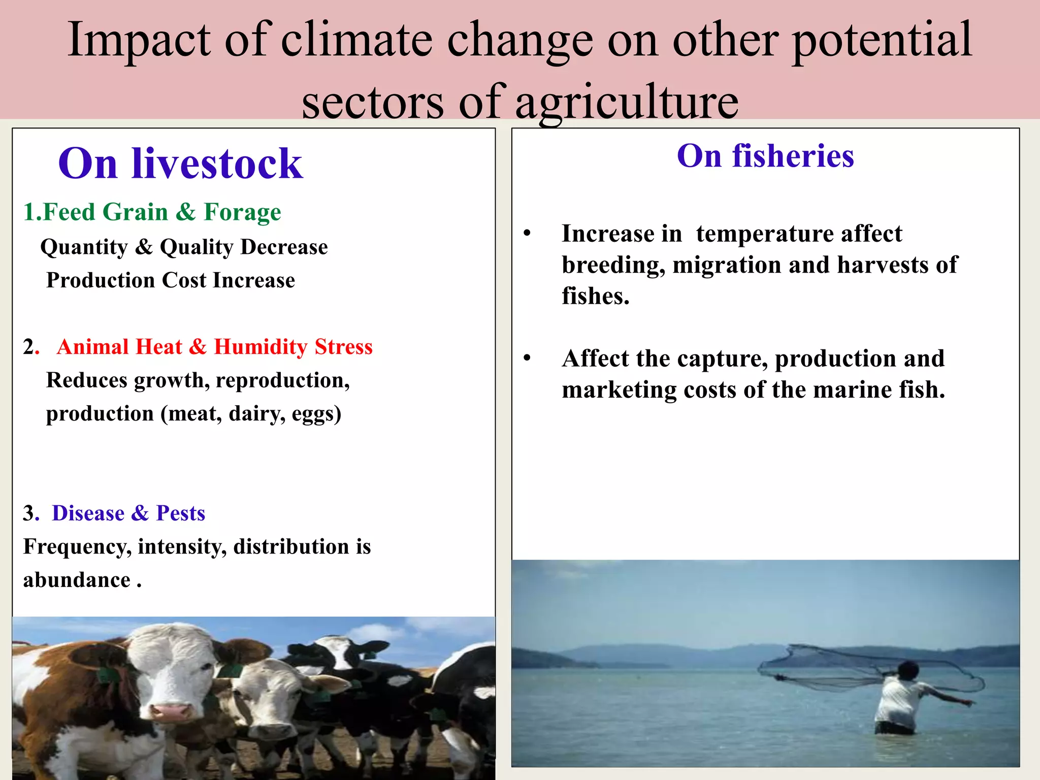 Impact and effect of climate change on agriculture | PPTX