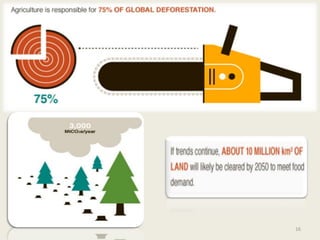 Impact and effect of climate change on agriculture | PPTX