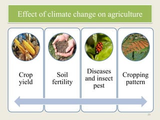 Impact and effect of climate change on agriculture | PPTX