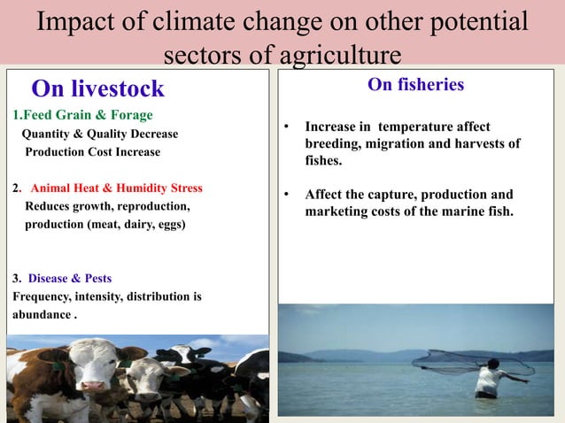 Impact and effect of climate change on agriculture | PPTX