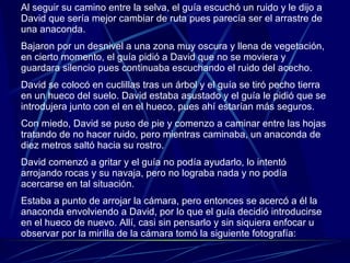 Al seguir su camino entre la selva, el guía escuchó un ruido y le dijo a David que sería mejor cambiar de ruta pues parecía ser el arrastre de una anaconda. Bajaron por un desnivel a una zona muy oscura y llena de vegetación, en cierto momento, el guía pidió a David que no se moviera y guardara silencio pues continuaba escuchando el ruido del acecho. David se colocó en cuclillas tras un árbol y el guía se tiró pecho tierra en un hueco del suelo. David estaba asustado y el guía le pidió que se introdujera junto con el en el hueco, pues ahí estarían más seguros. Con miedo, David se puso de pie y comenzo a caminar entre las hojas tratando de no hacer ruido, pero mientras caminaba, un anaconda de diez metros saltó hacia su rostro. David comenzó a gritar y el guía no podía ayudarlo, lo intentó arrojando rocas y su navaja, pero no lograba nada y no podía acercarse en tal situación. Estaba a punto de arrojar la cámara, pero entonces se acercó a él la anaconda envolviendo a David, por lo que el guía decidió introducirse en el hueco de nuevo. Allí, casi sin pensarlo y sin siquiera enfocar u observar por la mirilla de la cámara tomó la siguiente fotografía: 