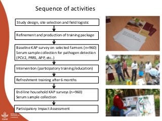 Participatory Impact Assessment following training of smallholder pig farmers on biosecurity for the control of African swine fever in Uganda