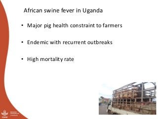 Participatory Impact Assessment following training of smallholder pig farmers on biosecurity for the control of African swine fever in Uganda