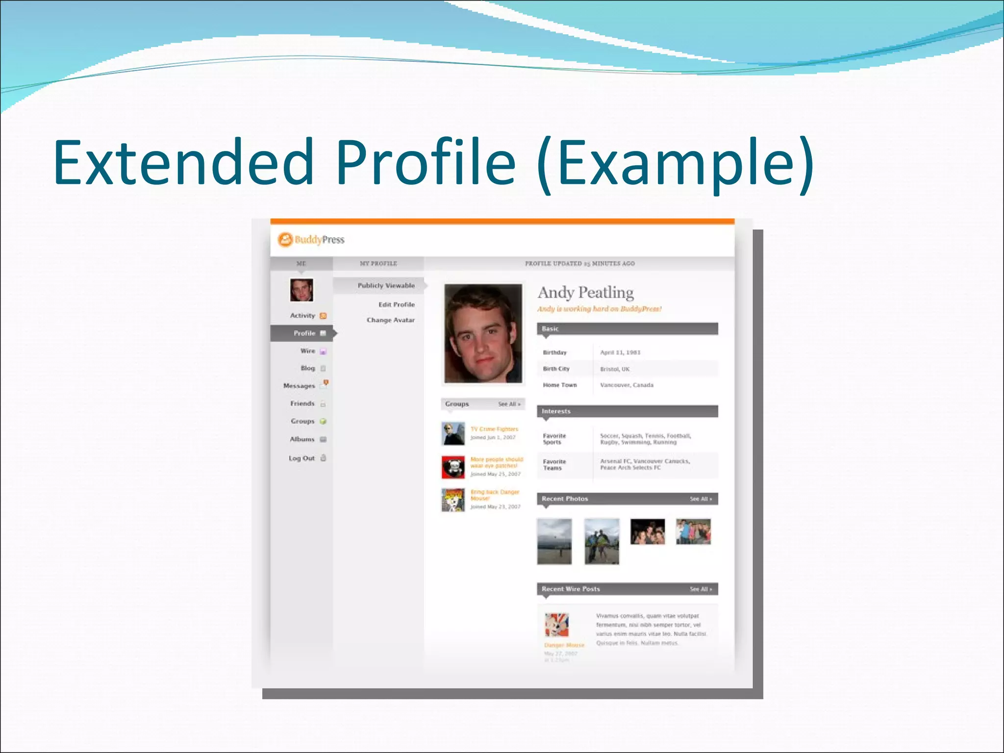 Extended Profile (Example) 