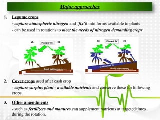 crop rotation by siddique ahmad university of agriculture peshawar | PPTX