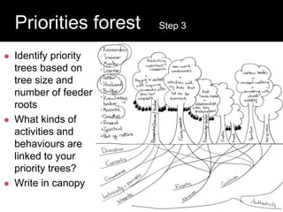  Identify priority
trees based on
tree size and
number of feeder
roots
 What kinds of
activities and
behaviours are
linked to your
priority trees?
 Write in canopy
Question:
Priorities forest Step 3
 