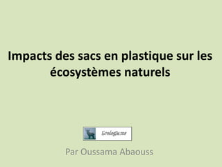 Impacts des sacs en plastique sur les
écosystèmes naturels

Par Oussama Abaouss

 