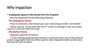 Why impaction
• Inadequate Space in the Dental Arch for Eruption
>can be explained by the following theories
- The phylogenic theory
>Due to evolution, the human jaw size is becoming smaller and smaller
>there may be no be room for the 3rd molar to emerge in the oral cavity
,since it is the last tooth to erupt
- Mendelian theory
>Based on genetic variations
> If the individual genetically receives a small jaw from one of the parents
and/or large teeth from the other parent, then impacted teeth can be seen,
because of ‘lack of space’.
 
