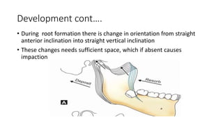 Development cont….
• During root formation there is change in orientation from straight
anterior inclination into straight vertical inclination
• These changes needs sufficient space, which if absent causes
impaction
 