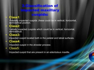 • Class1:
Palatally impacted cuspids ,these could be in vertical, horizontal,
semivertical position.
• Class2:
Labialy impacted cuspide which could be in vertical, horizontal,
semivertical.
• Class3:
Impacted cuspid located both in the palatal and labial surfaces.
• Class4:
Impacted cuspid in the alveolar process
• Class5:
Impacted cuspid that are present in an edentulous maxilla.
3-Classification of
impacted maxillary
cuspids:
 