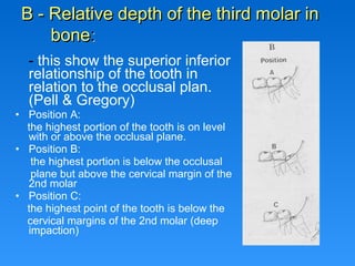 - this show the superior inferior
relationship of the tooth in
relation to the occlusal plan.
(Pell & Gregory)
• Position A:
the highest portion of the tooth is on level
with or above the occlusal plane.
• Position B:
the highest portion is below the occlusal
plane but above the cervical margin of the
2nd molar
• Position C:
the highest point of the tooth is below the
cervical margins of the 2nd molar (deep
impaction)
B - Relative depth of the third molar inB - Relative depth of the third molar in
bonebone::
 