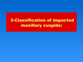 3-Classification of impacted
maxillary cuspids:
 