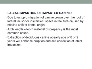 • LABIAL IMPACTION OF IMPACTED CANINE:
• Due to ectopic migration of canine crown over the root of
lateral incisor or insufficient space in the arch caused by
midline shift of dental origin.
• Arch length – tooth material discrepancy is the most
common cause.
• Extraction of deciduous canine at early age of 8 or 9
years will enhance eruption and self correction of labial
impaction.
 