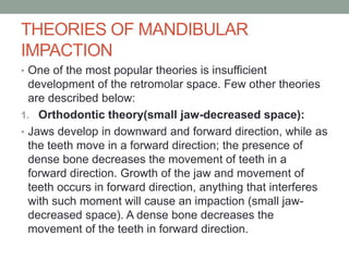 THEORIES OF MANDIBULAR
IMPACTION
• One of the most popular theories is insufficient
development of the retromolar space. Few other theories
are described below:
1. Orthodontic theory(small jaw-decreased space):
• Jaws develop in downward and forward direction, while as
the teeth move in a forward direction; the presence of
dense bone decreases the movement of teeth in a
forward direction. Growth of the jaw and movement of
teeth occurs in forward direction, anything that interferes
with such moment will cause an impaction (small jaw-
decreased space). A dense bone decreases the
movement of the teeth in forward direction.
 