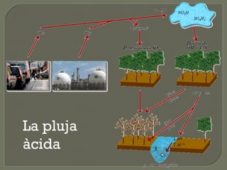 La pluja
àcida

 