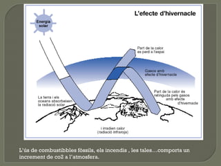 L’ús de combustibbles fòssils, els incendis , les tales…comporta un
increment de co2 a l’atmosfera.

 