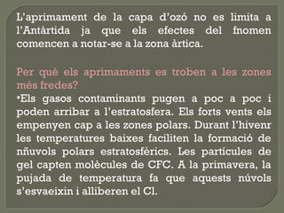 L’aprimament de la capa d’ozó no es limita a
l’Antàrtida ja que els efectes del fnomen
comencen a notar-se a la zona àrtica.
Per què els aprimaments es troben a les zones
més fredes?
•Els gasos contaminants pugen a poc a poc i
poden arribar a l’estratosfera. Els forts vents els
empenyen cap a les zones polars. Durant l’hivenr
les temperatures baixes faciliten la formació de
nñuvols polars estratosfèrics. Les partícules de
gel capten molècules de CFC. A la primavera, la
pujada de temperatura fa que aquests núvols
s’esvaeixin i alliberen el Cl.

 