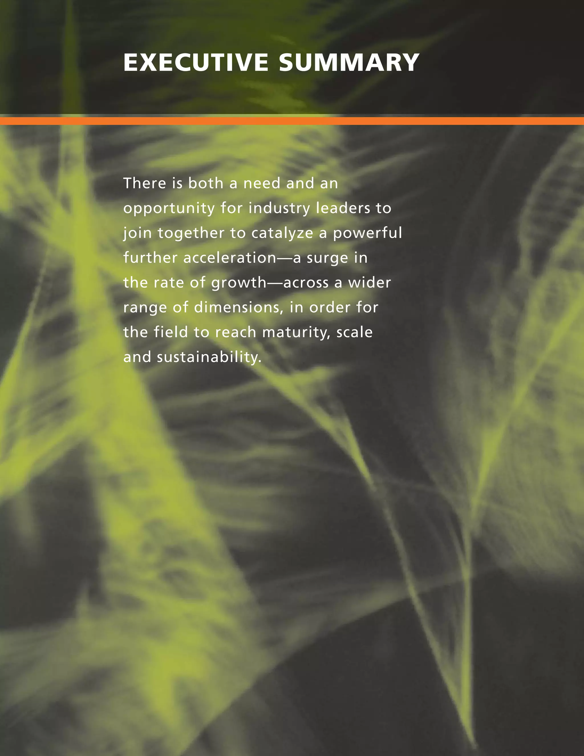 viii | ACCELERATING IMPACT
EXECUTIVE SUMMARY
There is both a need and an
opportunity for industry leaders to
join together to catalyze a powerful
further acceleration—a surge in
the rate of growth—across a wider
range of dimensions, in order for
the field to reach maturity, scale
and sustainability.
 
