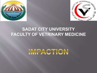 SADAT CITY UNIVERSITY
FACULTY OF VETRINARY MEDICINE
 