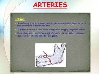 ARTERIES
 