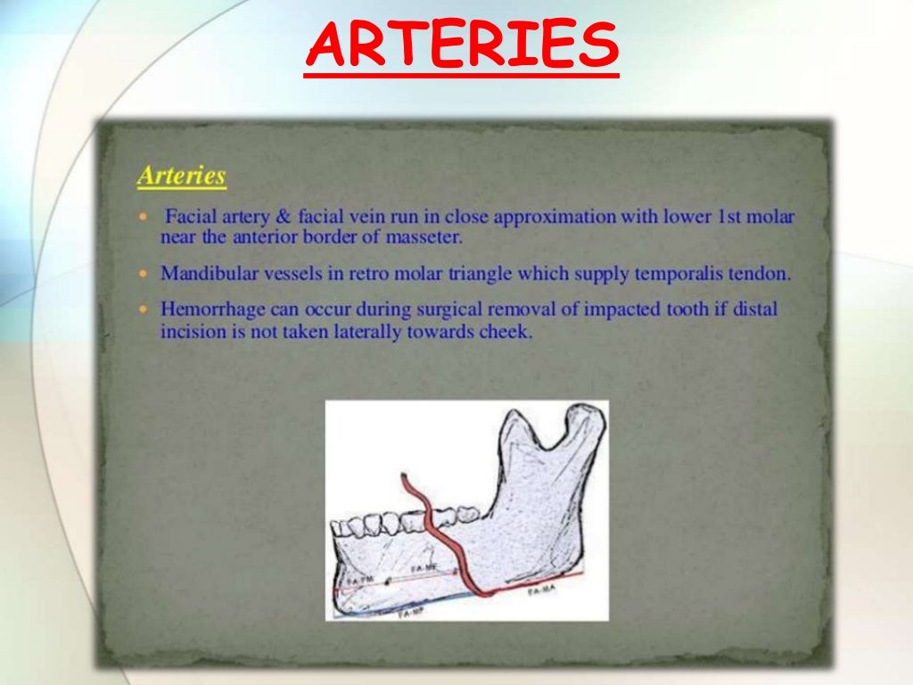 IMPACTION IN ORAL SURGERY