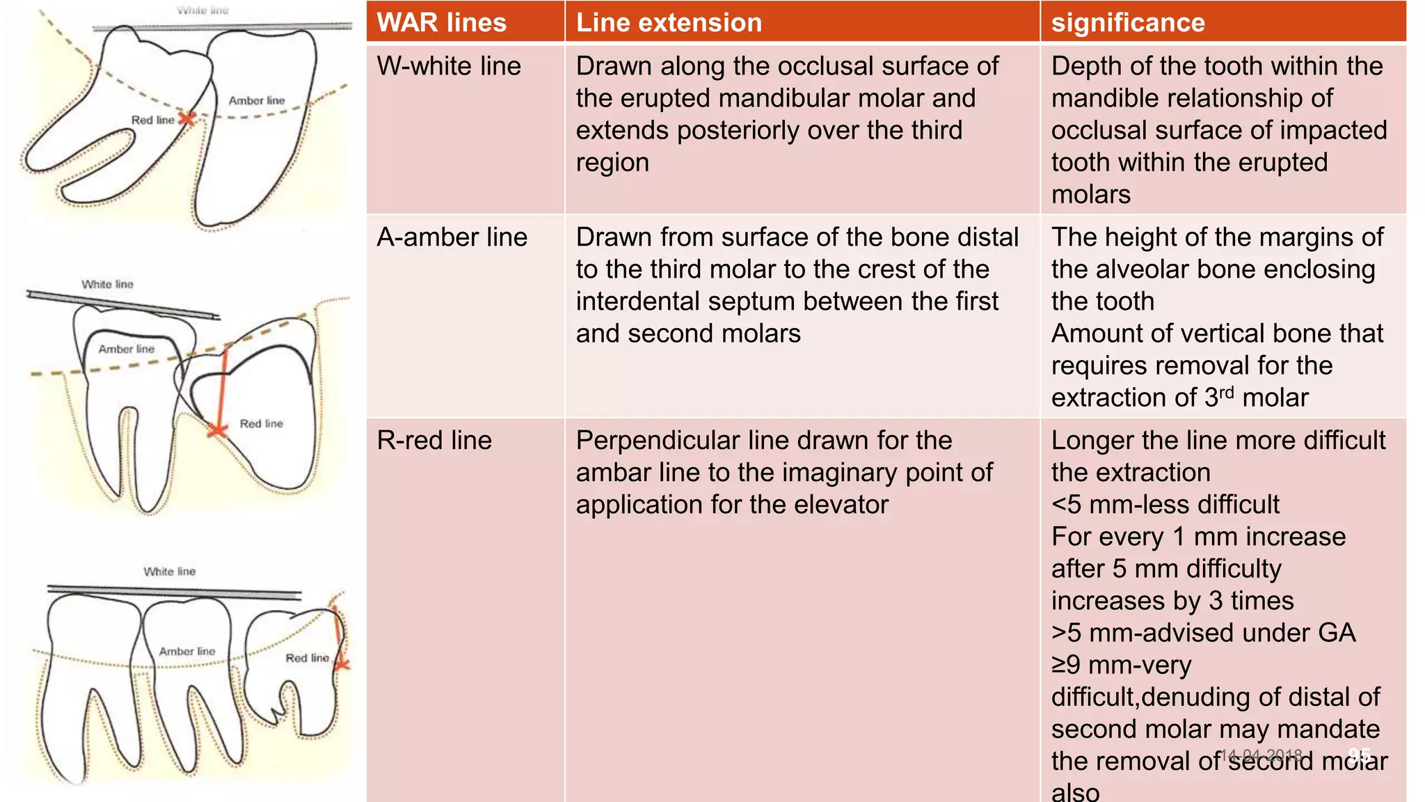 WAR lines Line extension significance
W-white line Drawn along the occlusal surface of
the erupted mandibular molar and
extends posteriorly over the third
region
Depth of the tooth within the
mandible relationship of
occlusal surface of impacted
tooth within the erupted
molars
A-amber line Drawn from surface of the bone distal
to the third molar to the crest of the
interdental septum between the first
and second molars
The height of the margins of
the alveolar bone enclosing
the tooth
Amount of vertical bone that
requires removal for the
extraction of 3rd molar
R-red line Perpendicular line drawn for the
ambar line to the imaginary point of
application for the elevator
Longer the line more difficult
the extraction
<5 mm-less difficult
For every 1 mm increase
after 5 mm difficulty
increases by 3 times
>5 mm-advised under GA
≥9 mm-very
difficult,denuding of distal of
second molar may mandate
the removal of second molar14-04-2018 95
 