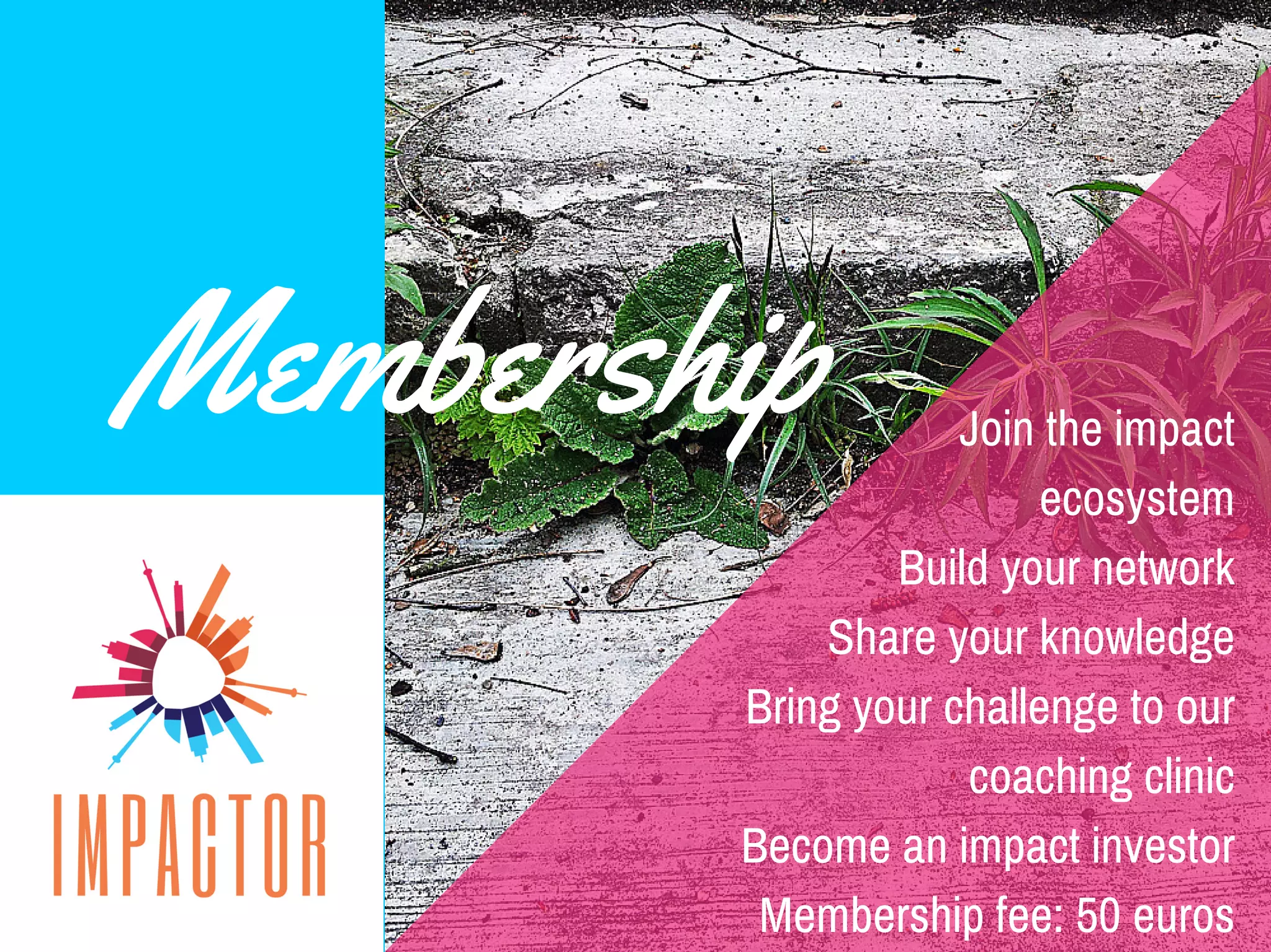 Membership Join the impact
ecosystem
Build your network
Share your knowledge
Bring your challenge to our
coaching clinic
Become an impact investor
Membership fee: 50 euros
 