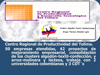 Centro Regional de Productividad del Tolima.  50 empresas atendidas, 42 proyectos de mejoramiento empresarial, consolidaci...