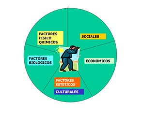 FACTORES FISICO QUIMICOS FACTORES ESTETICOS SOCIALES ECONOMICOS CULTURALES FACTORES BIOLOGICOS 