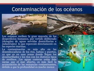 Contaminación de los océanos
Los océanos reciben la gran mayoría de los
desperdicios humanos, por vertido deliberado
(desagües de aguas servidas domiciliarias e
industriales) lo que repercute directamente en
las especies marinas.
La contaminación es más alta en las
desembocaduras de los ríos, bahías y puertos,
ya que es en esas zonas donde llegan los
alcantarillados y los ríos con los distintos tipos
de residuos. Las aguas costeras están más
sucias que el mar abierto, es más fácil la
acumulación de las sustancias contaminantes,
debido a que la profundidad es mucho menor.
 